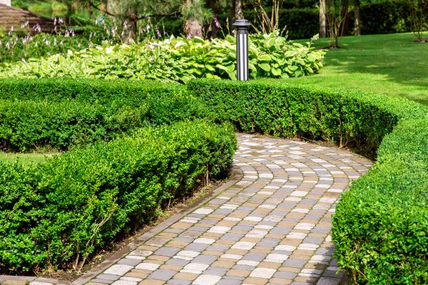 Cost of Paved Landscaping in Valrico