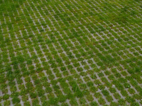 Cost of Permeable Pavement Service in Valrico